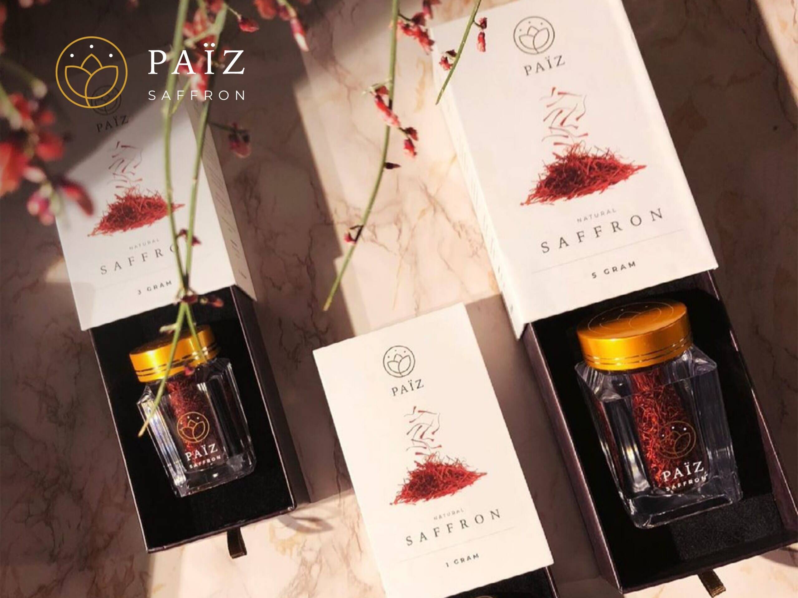 Paiz Saffron portfolio case