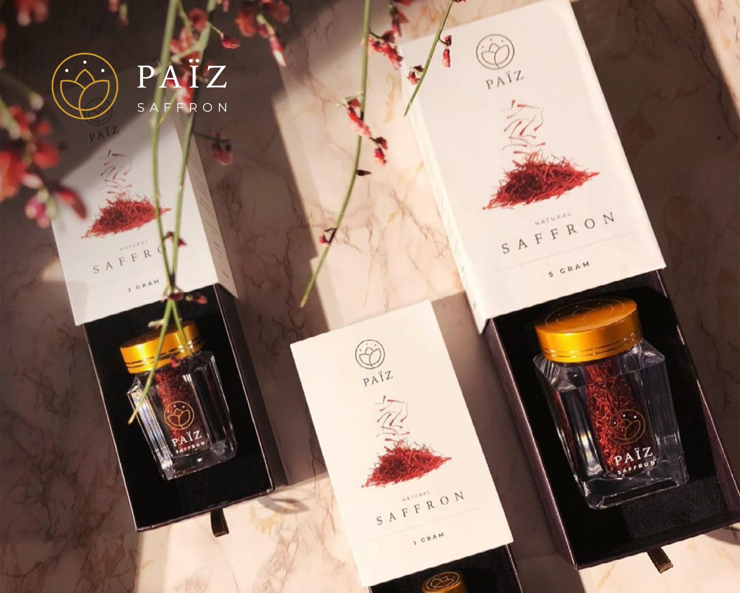 Paiz Saffron portfolio case